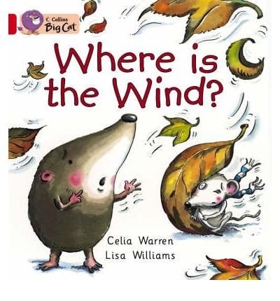 Xbig Cat Where Is Wind Red B 2