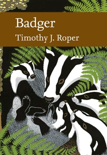 Badger (Collins New Naturalist Library)