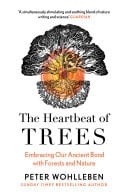 Heartbeat Of Trees