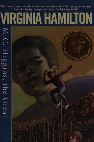 M. C. Higgins, the Great