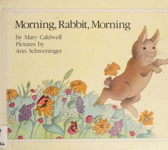 Morning, Rabbit, Morning