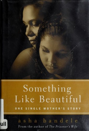 Something Like Beautiful One Single Mother's Story