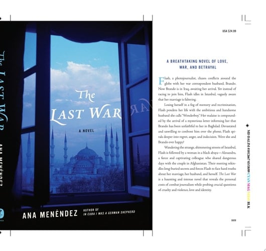The Last War A Novel