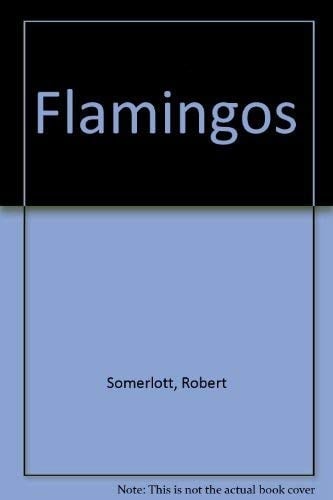 Flamingos