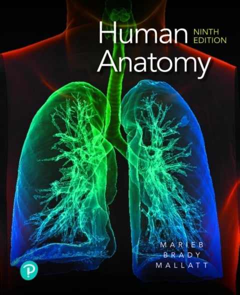 Human Anatomy (Pearson+)