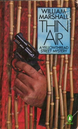Thin Air: A Yellowthread Street Mystery