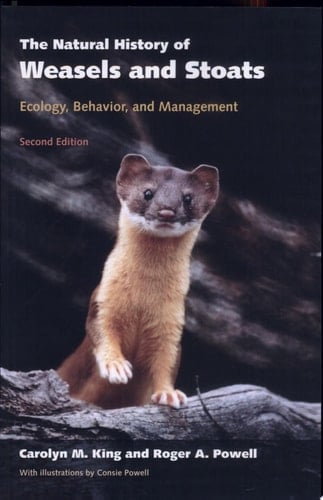 The Natural History of Weasels and Stoats: Ecology, Behavior, and Management
