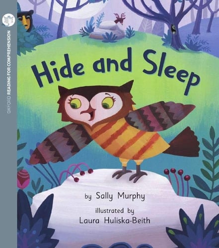Hide and Sleep (Pack of 6 with Comprehension Card)