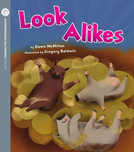 Look Alikes (Pack of 6 with Comprehension Coaching Card)