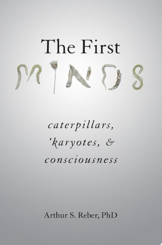 The First Minds