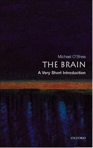 The Brain: A Very Short Introduction (Very Short Introductions)