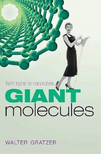 Giant Molecules: From nylon to nanotubes