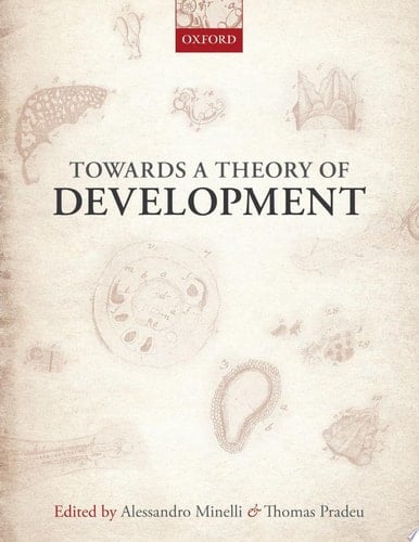Towards A Theory Of Development