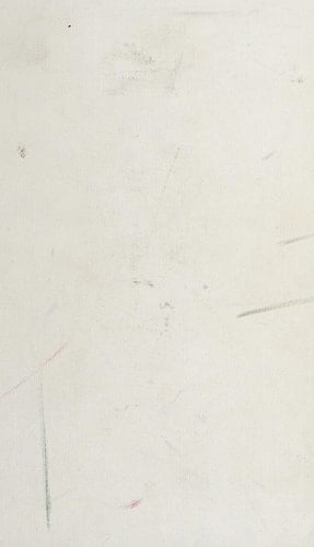 The Philippines: industrialization and trade policies (Industry and trade in some developing countries)