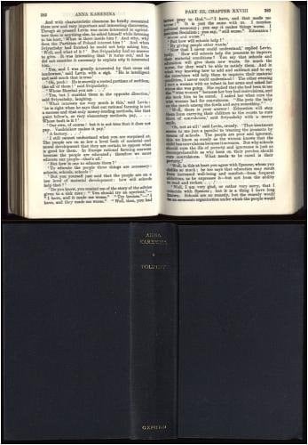 Anna Karenina (World's Classics)