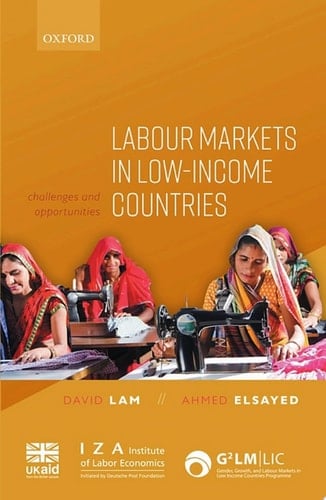 Labour Markets in Low-Income Countries: Challenges and Opportunities