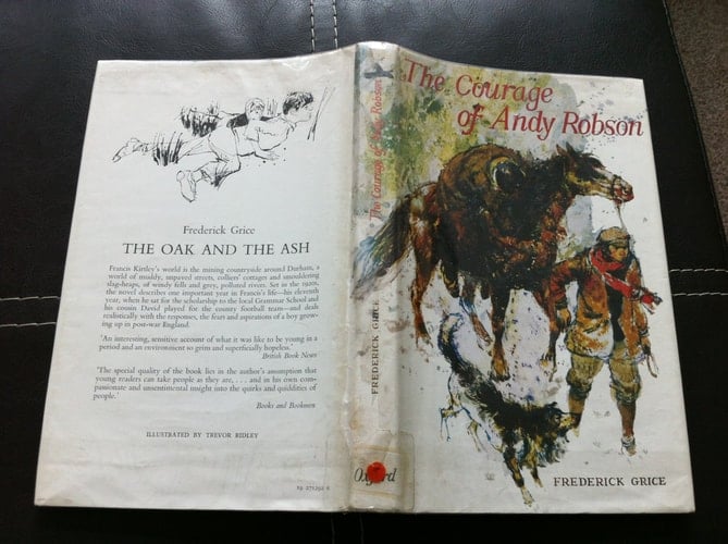 The Courage of Andy Robson