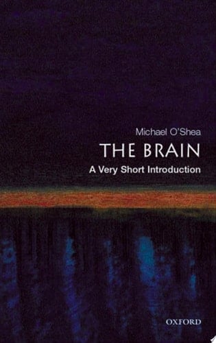 The Brain: A Very Short Introduction