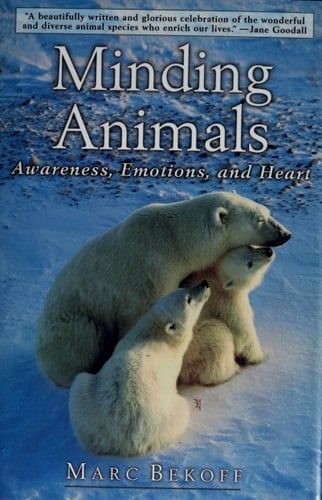 Minding Animals: Awareness, Emotions, and Heart