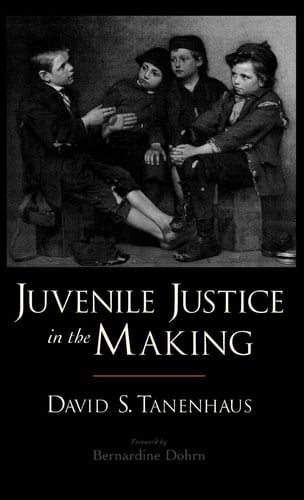 Juvenile Justice in the Making (Studies in Crime and Public Policy)