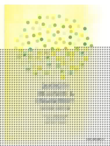 Diversity, Inclusion and Engagement