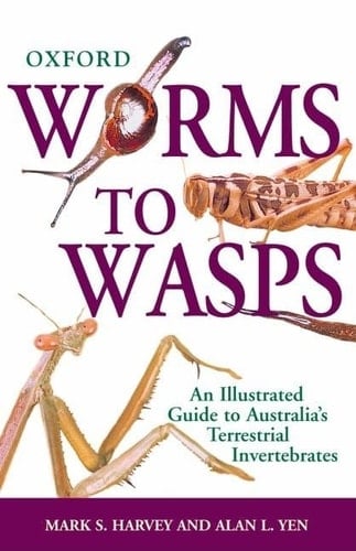 Worms to Wasps: An Illustrated Guide to Australia's Terrestrial Invertebrates