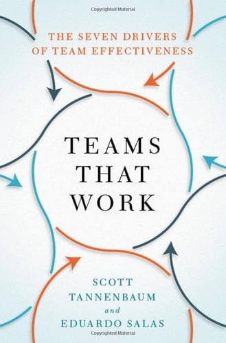 Teams That Work The Seven Drivers of Team Effectiveness