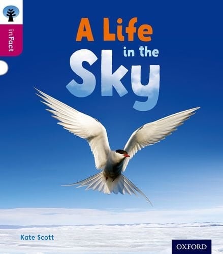Oxford Reading Tree Infact: Level 10: A Life in the Sky