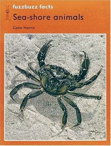 Fuzzbuzz Facts Pack (Fuzzbuzz Level 2)