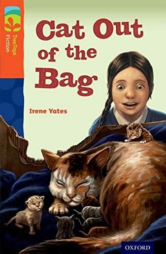 Oxford Reading Tree Treetops Fiction: Level 13 More Pack B: Cat Out of the Bag