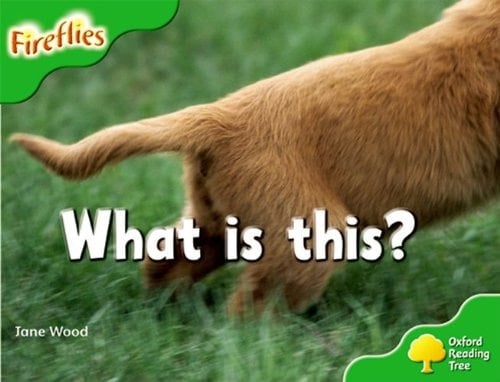 Oxford Reading Tree: Stage 2: More Fireflies A: What Is This?