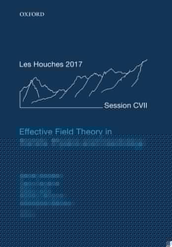 Effective Field Theory in Particle Physics and Cosmology: Lecture Notes of the Les Houches Summer School: Volume 108, July 2017