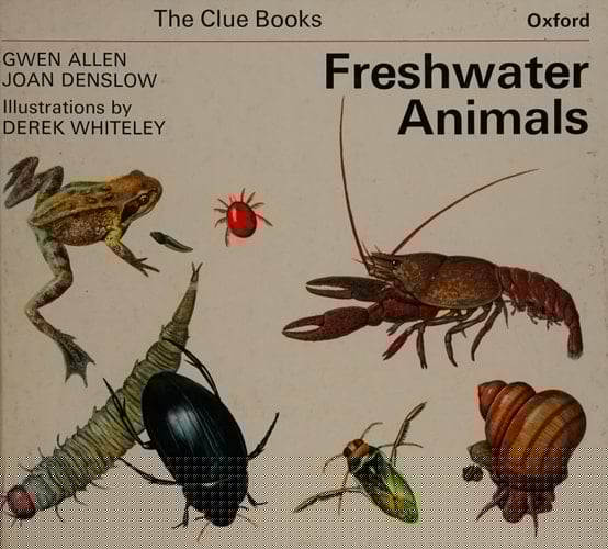Clue Books: Freshwater Animals
