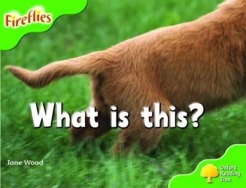 Oxford Reading Tree: Stage 2: More Fireflies: Pack A: Guess What This Is