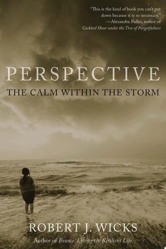 PERSPECTIVE CALM WITHIN STORM C: The Calm Within the Storm