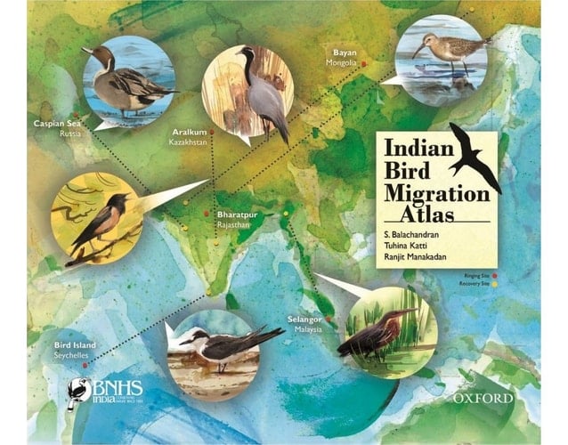 Indian Bird Migration Atlas [Paperback] [Jan 01, 2017] S. Balachandran
