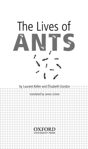 Kristeva and the Political (Thinking the Political)