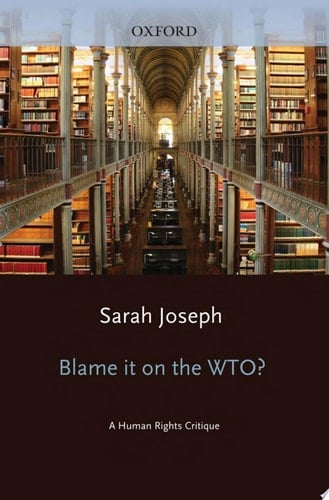 Blame it on the WTO?: A Human Rights Critique