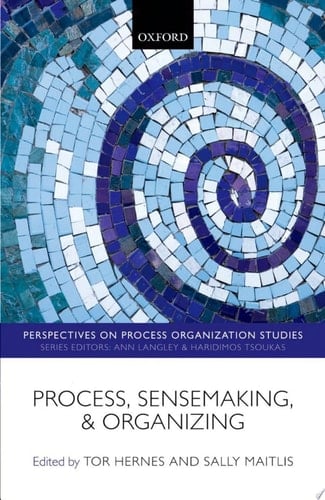 Process, Sensemaking, and Organizing (Perspectives on Process Organization Studies)