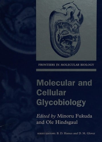 Molecular and Cellular Glycobiology (Frontiers in Molecular Biology, 30)