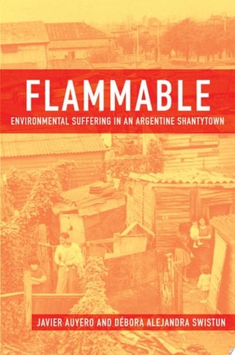 Flammable: Environmental Suffering In An Argentine Shantytown