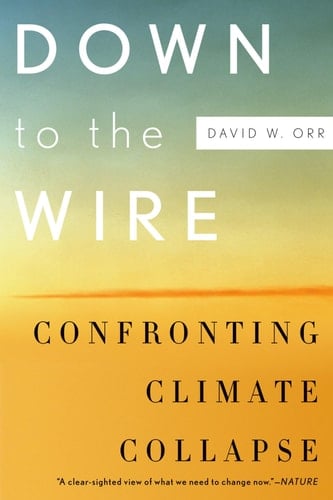 DOWN TO WIRE P: Confronting Climate Collapse