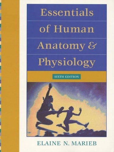 Essentials of Human Anatomy & Physiology