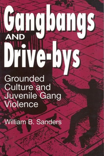 Gangbangs and Drive-bys: Grounded Culture and Juvenile Gang Violence (Social Problems & Social Issues)