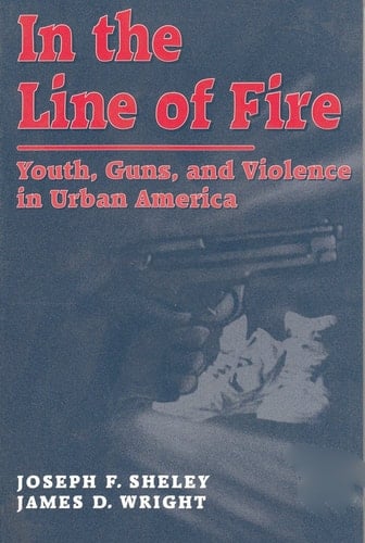 In the Line of Fire: Youth, Guns, and Violence in Urban America (Social Institutions and Social Change)