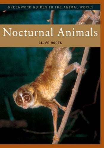 Nocturnal Animals