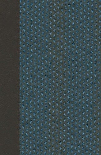 NIV Pocket New Binding 2