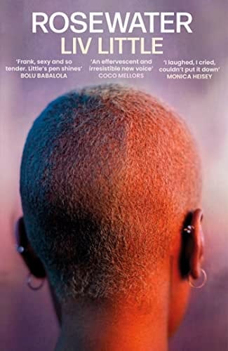 Rosewater The Debut Novel from Liv Little