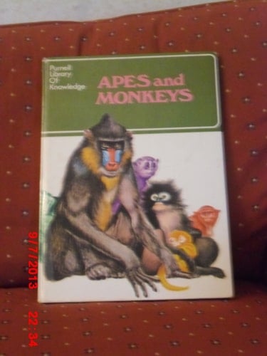 Apes and Monkeys