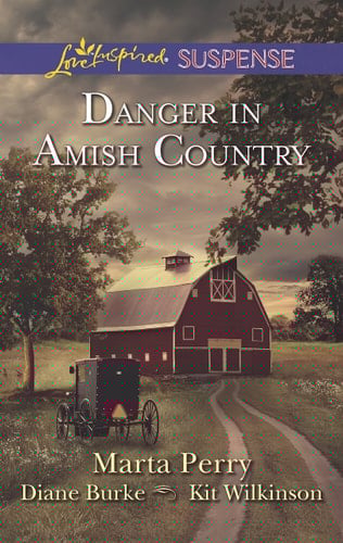 Danger in Amish Country Fall from Grace\Dangerous Homecoming\Return to Willow Trace